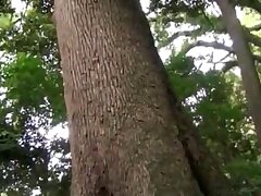 CXR-13 Sizzling Asian Beauty Ignites Passionate Gangbang Orgy Night