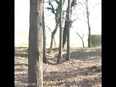 ZWHD01 Night of Solo Fantasies-Lone Stud's Pleasurable Journey