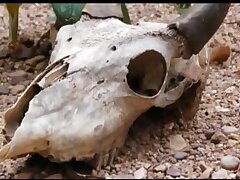 GHKP73_01 Wife's Forbidden Pleasure-A Hidden Affair Unveiled Live