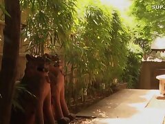 JUY-243 Passionate Asian Temptress-Unleashed Ecstasy with Her Lover's Desire