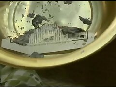 FTDS-005 Sultry Night-Hot Babe in Black Tempts with Unstoppable Desire