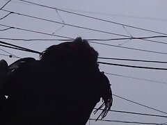 purikpeep Sizzling Encounter-Curvy Babe's Steamy Night with a Stranger